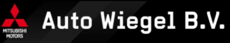 Auto Wiegel